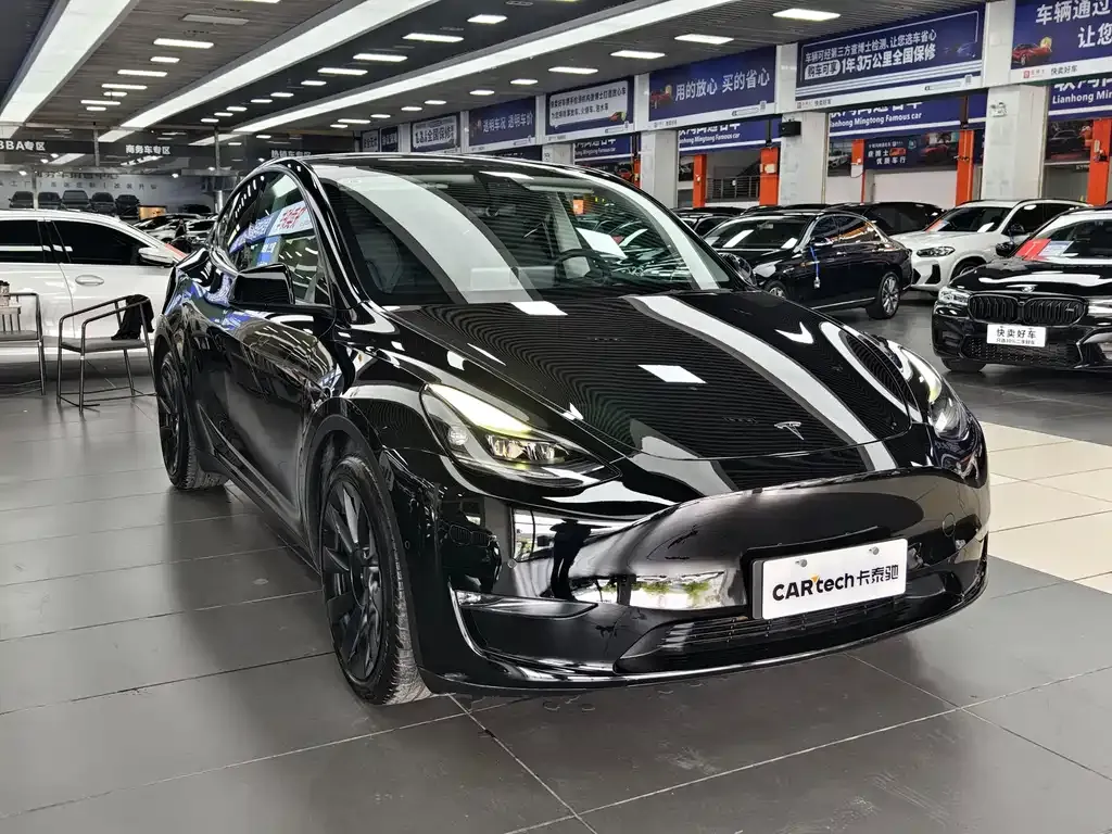 Tesla Model Y 2021 из CN, фото 3