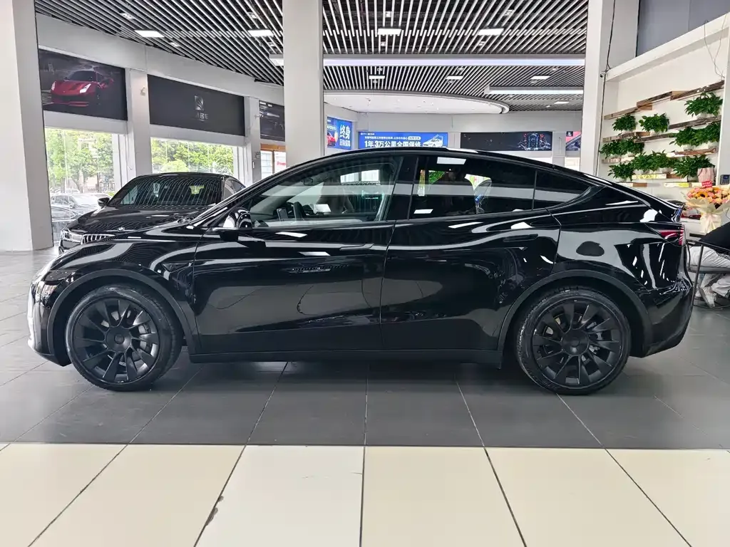 Tesla Model Y 2021 из CN, фото 5