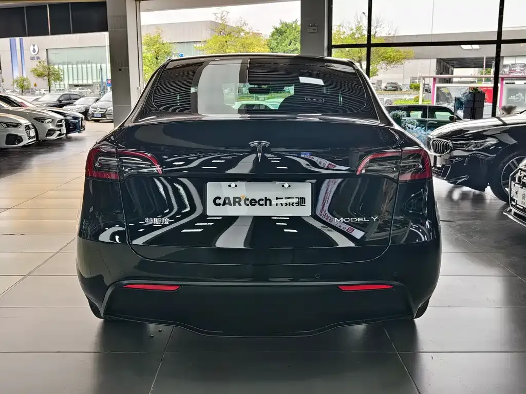 Tesla Model Y 2021 из CN, фото 6