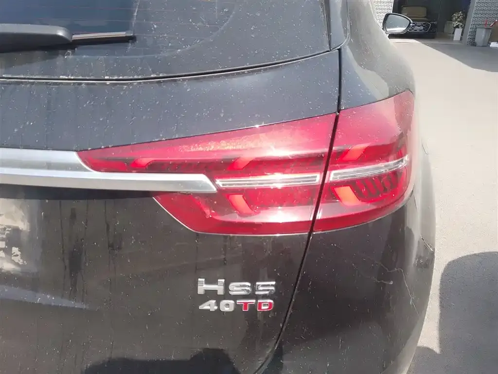 Hongqi HS5 2021 из CN, фото 8