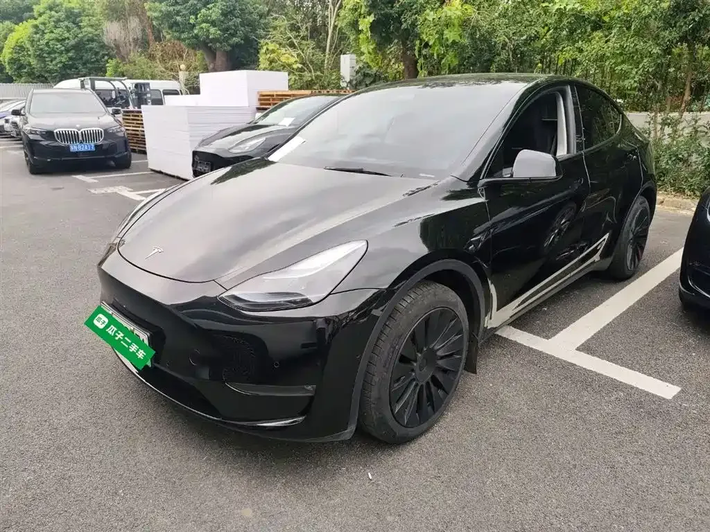 Tesla Model Y — фото 1
