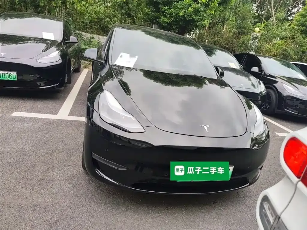 Tesla Model Y — фото 3
