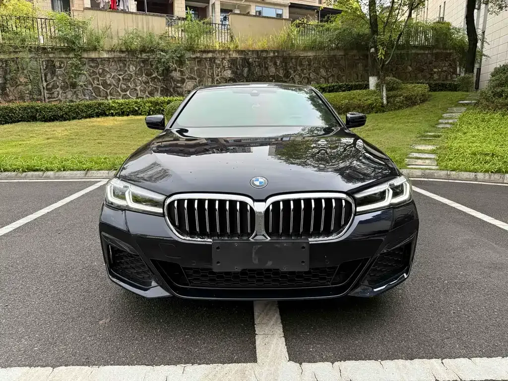 BMW 5 Series 2023 из CN, фото 2
