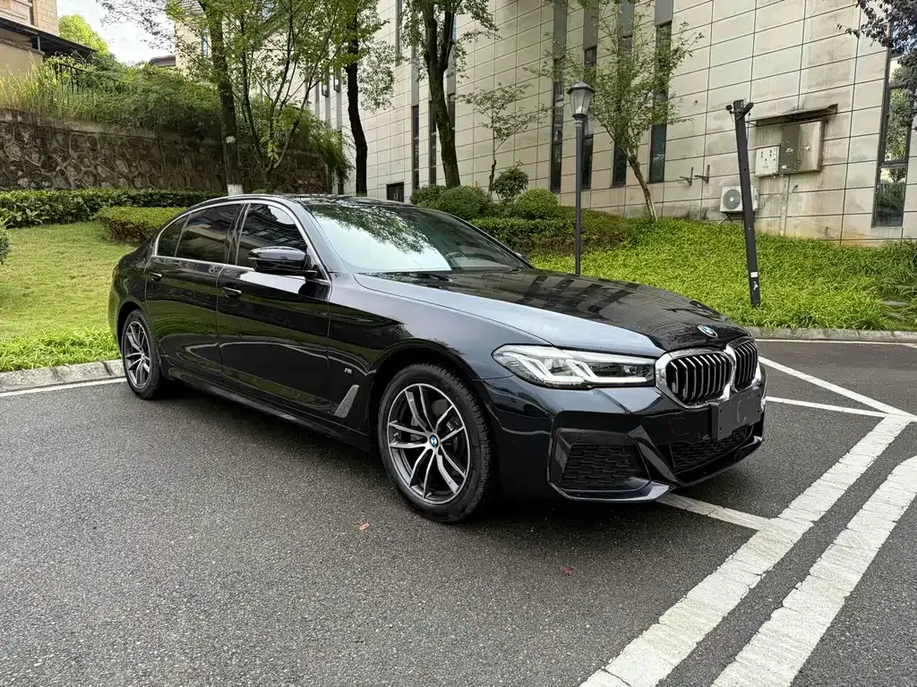 BMW 5 Series 2023 из CN, фото 3
