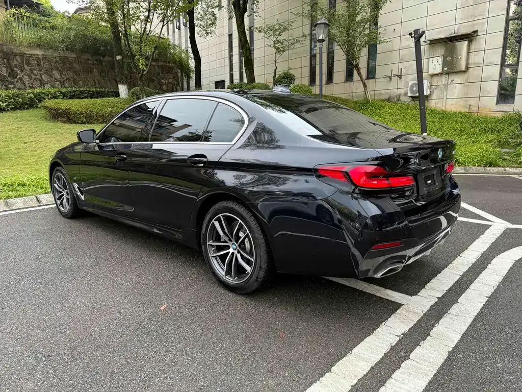 BMW 5 Series 2023 из CN, фото 4