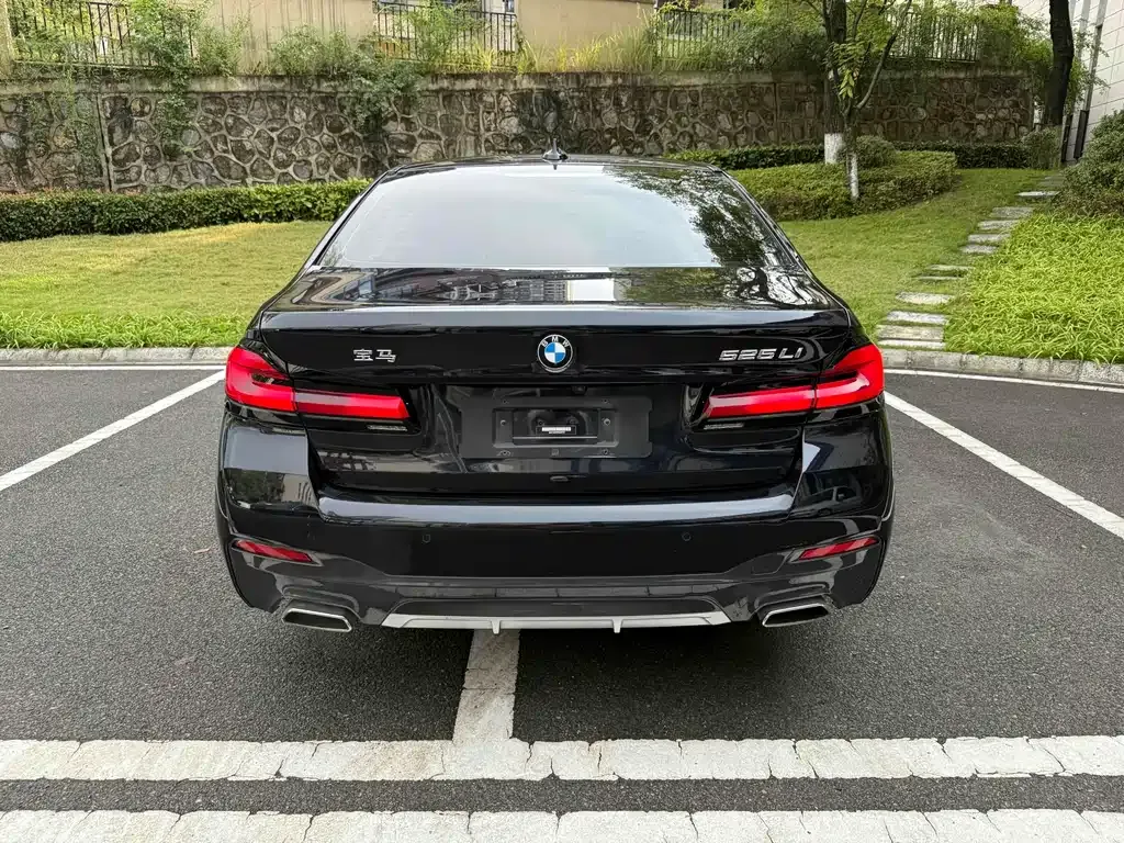 BMW 5 Series 2023 из CN, фото 5