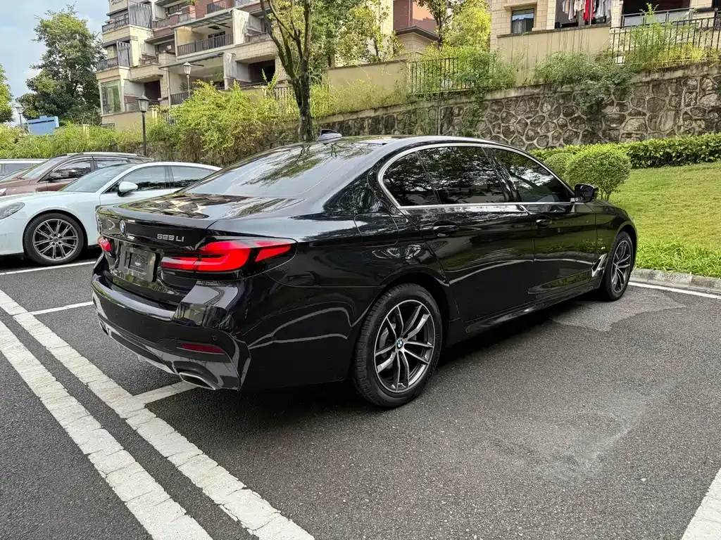 BMW 5 Series 2023 из CN, фото 6