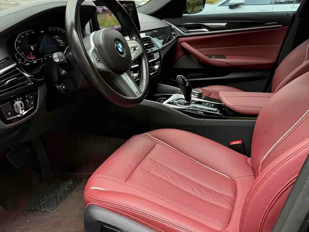 BMW 5 Series 2023 из CN, фото 8