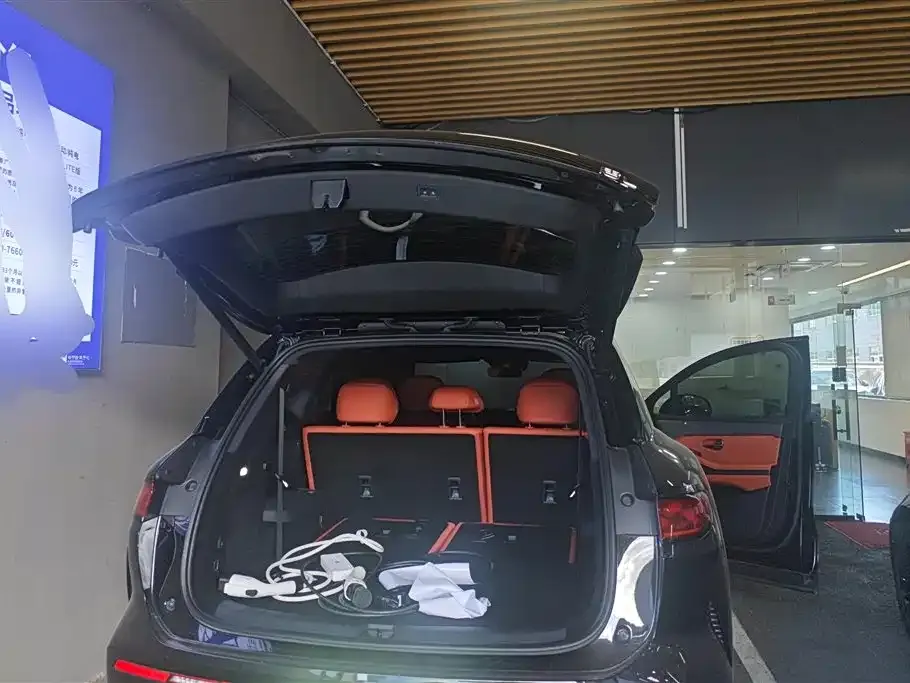 BYD Tang L 2025 из CN, фото 4