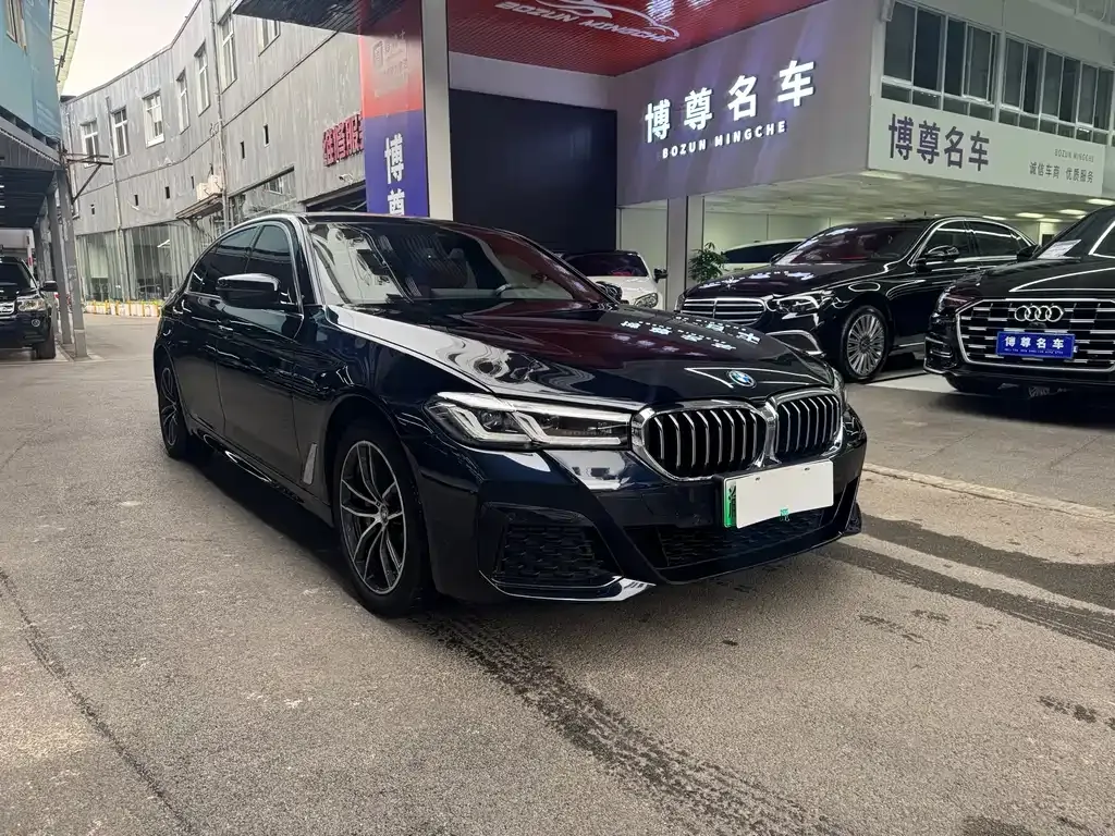 BMW 5 Series New Energy — фото 3