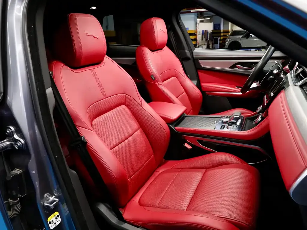 Jaguar F-PACE 2021 из CN, фото 10