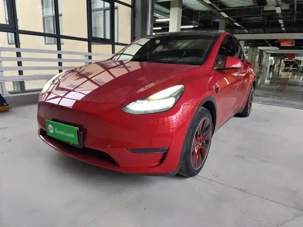 Tesla Model Y 2021 из CN, фото 1
