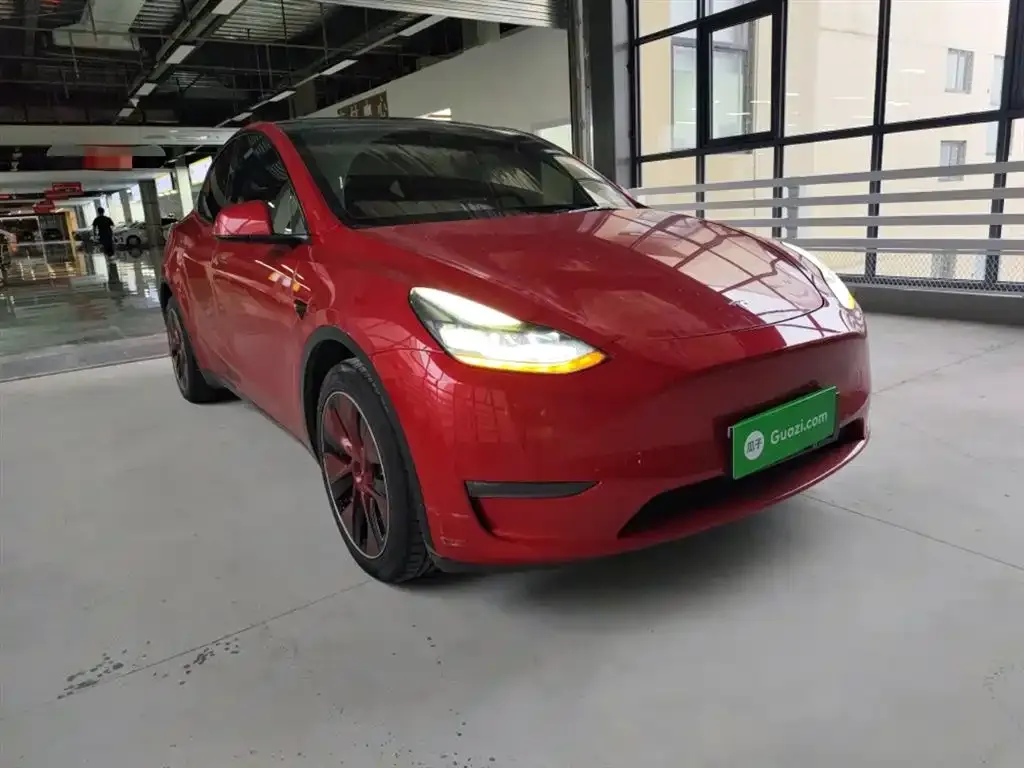Tesla Model Y 2021 из CN, фото 4
