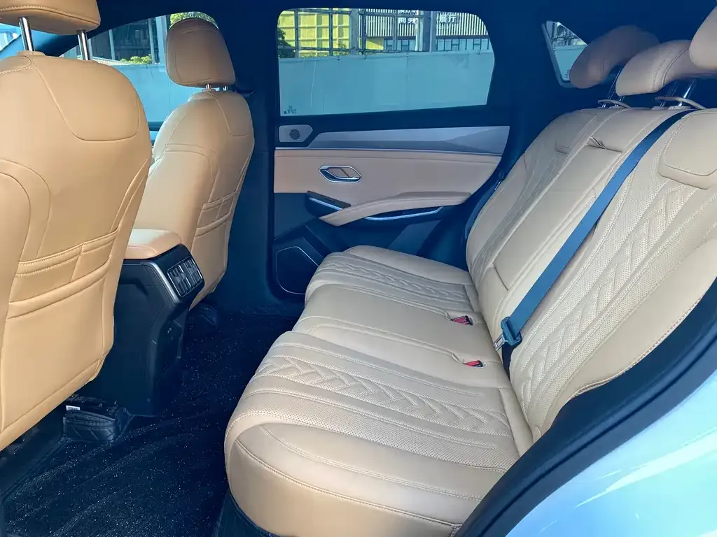 BYD L DM-i 2024 из CN, фото 9