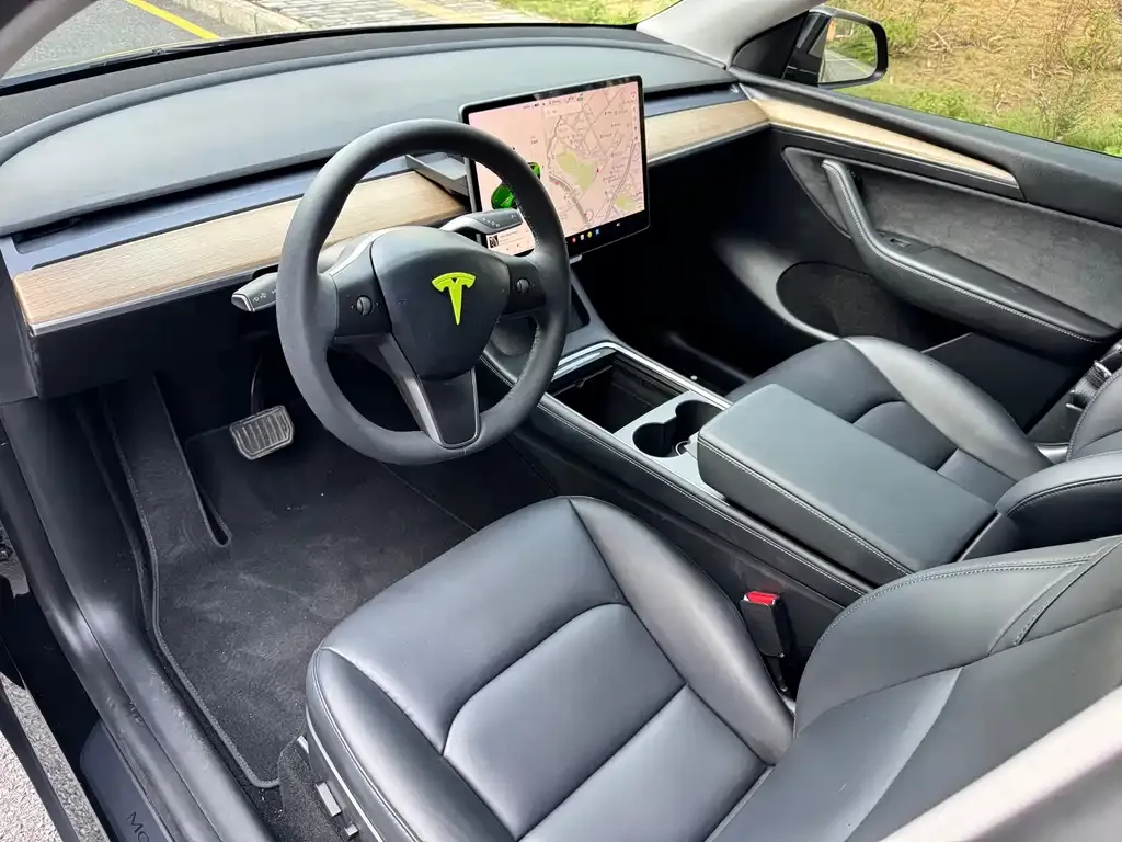 Tesla Model Y 2021 из CN, фото 6