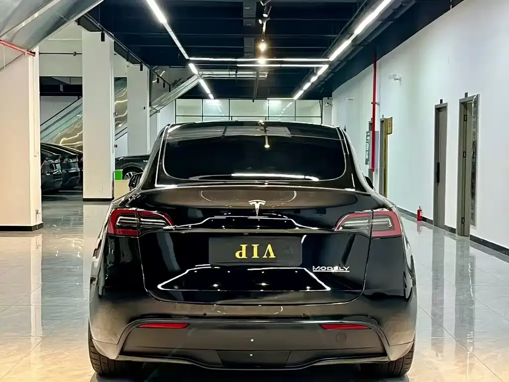 Tesla Model Y — фото 7