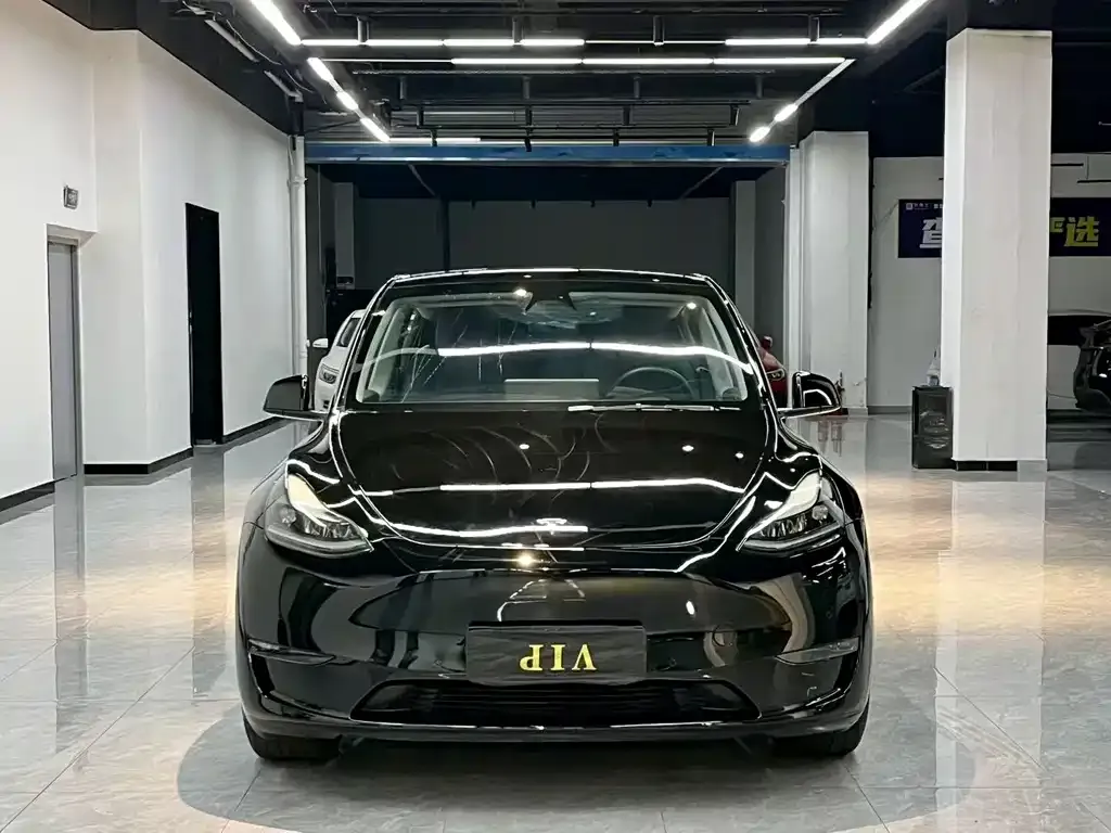 Tesla Model Y — фото 9