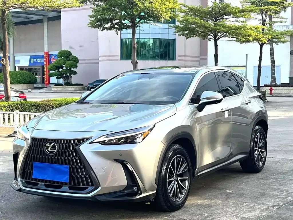 Lexus NX 2024 из CN, фото 1
