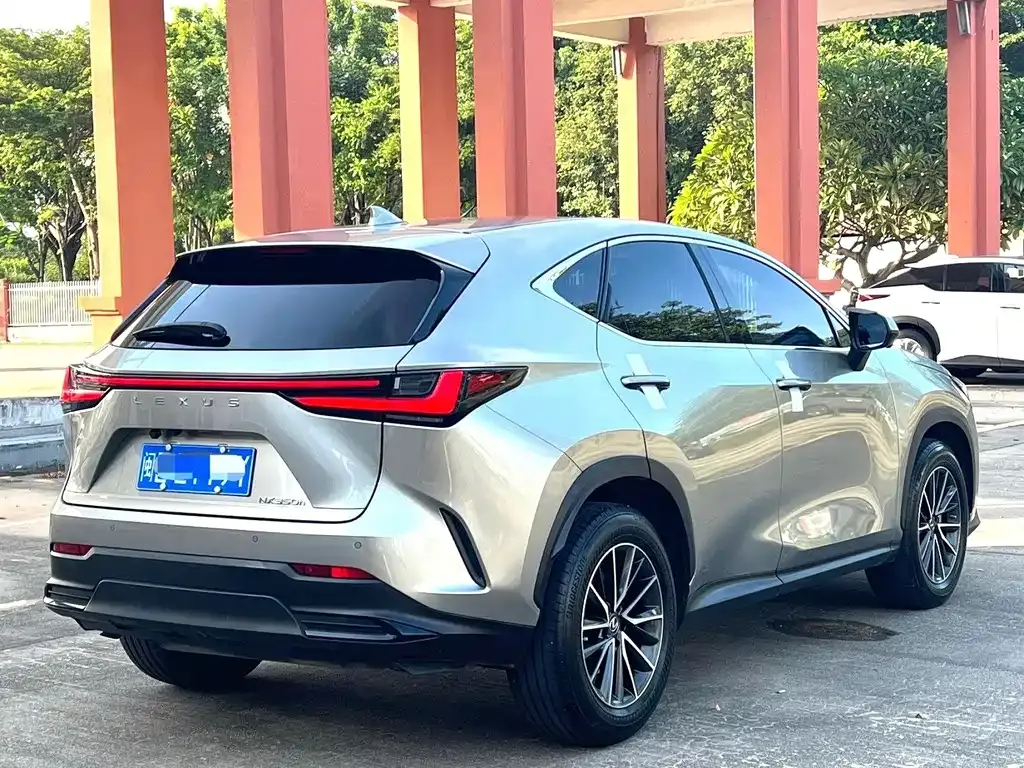 Lexus NX 2024 из CN, фото 2