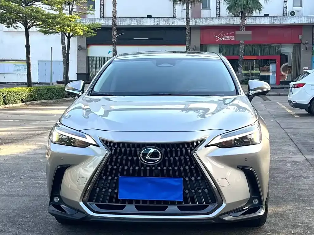 Lexus NX 2024 из CN, фото 3