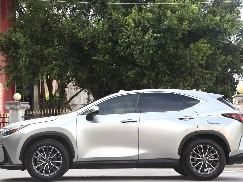 Lexus NX 2024 из CN, фото 9