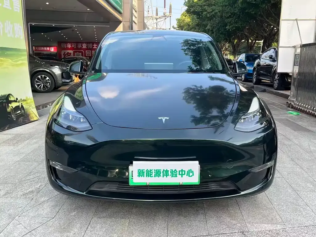 Tesla Model Y — фото 2