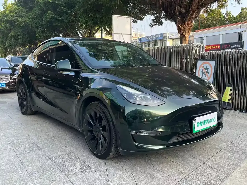 Tesla Model Y — фото 3