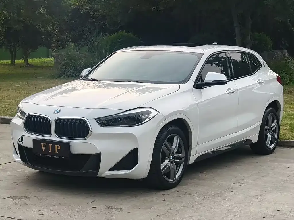 BMW X2 — фото 1