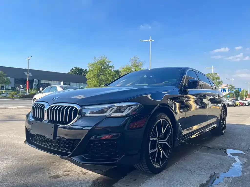 BMW 5 Series 2023 из CN, фото 1