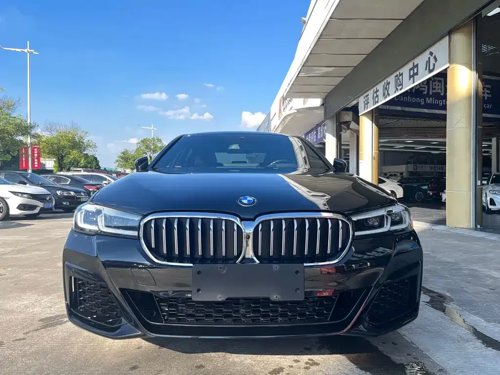 BMW 5 Series 2023 из CN, фото 2
