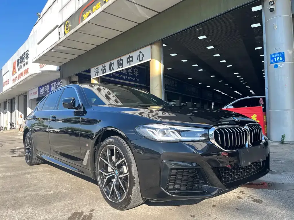 BMW 5 Series 2023 из CN, фото 3