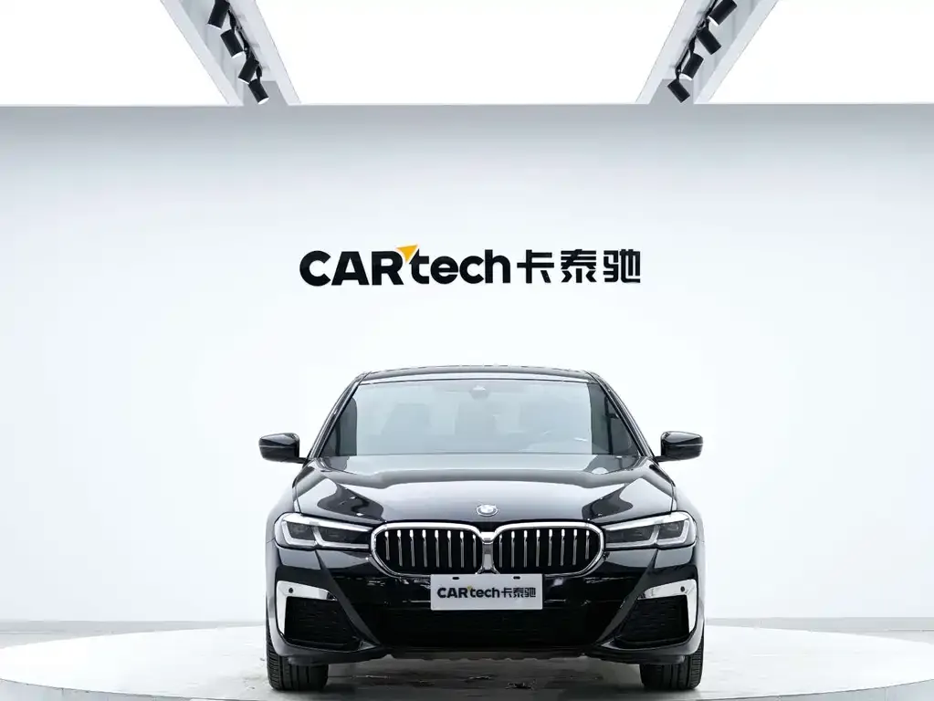 BMW 5 Series 2021 из CN, фото 2