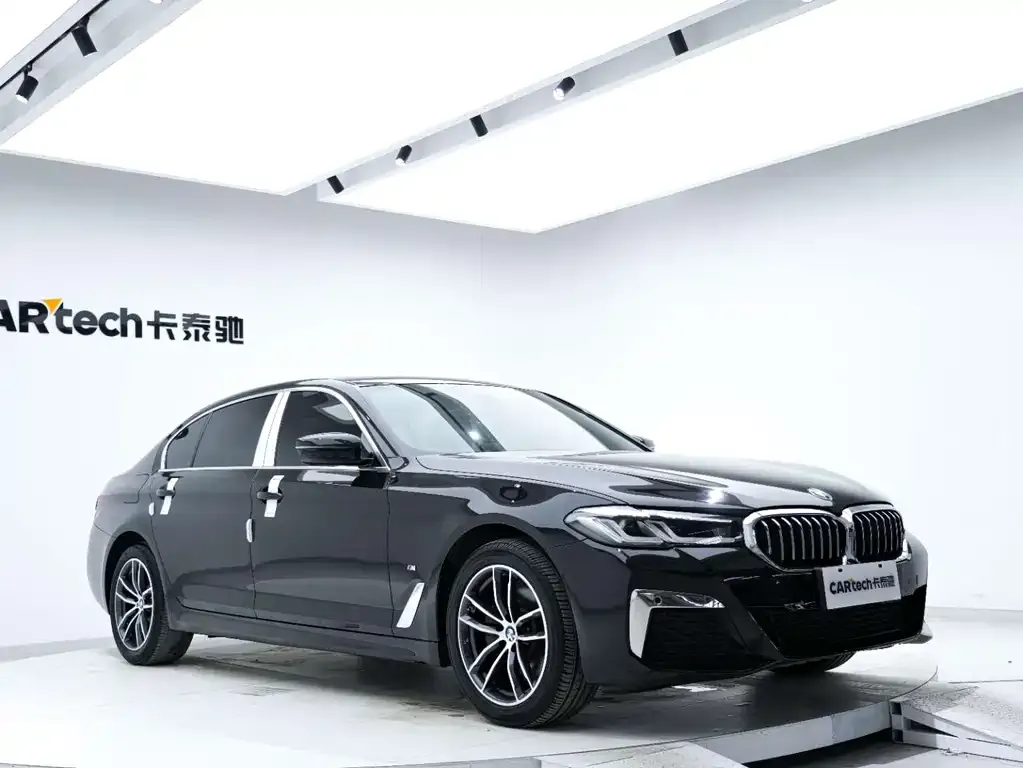 BMW 5 Series 2021 из CN, фото 9