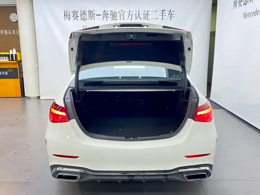 Mercedes-Benz C-Class New Energy — фото 6