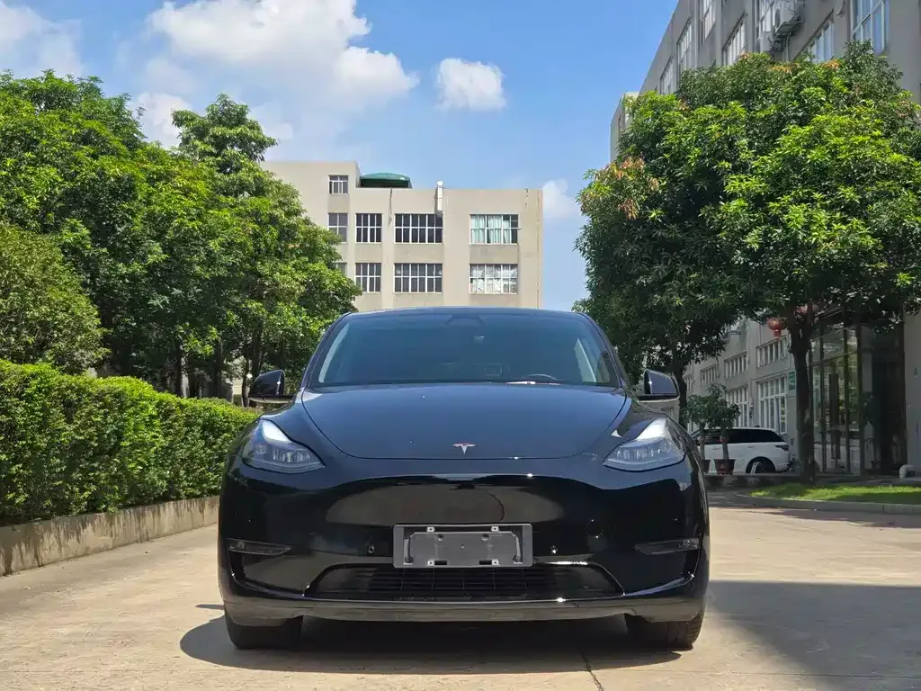 Tesla Model Y 2022 из CN, фото 2