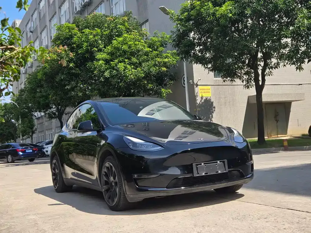 Tesla Model Y 2022 из CN, фото 3