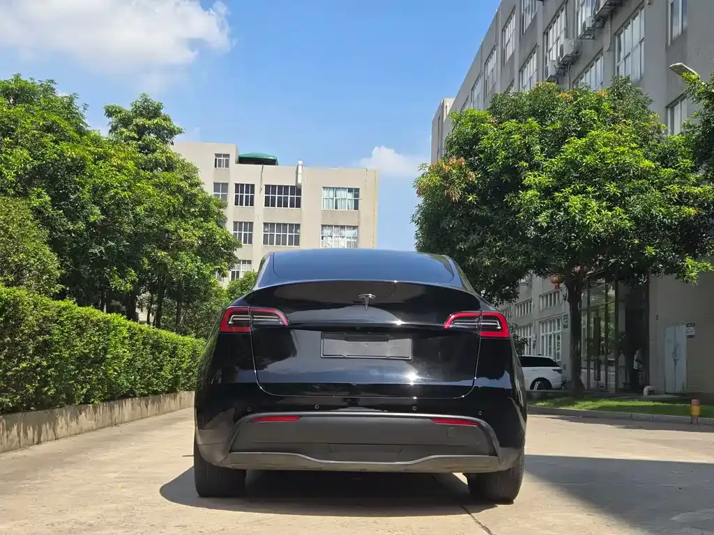 Tesla Model Y 2022 из CN, фото 6