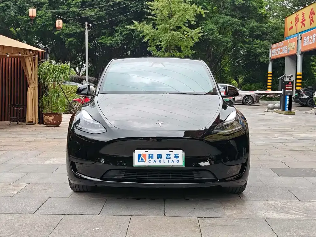 Tesla Model Y — фото 3