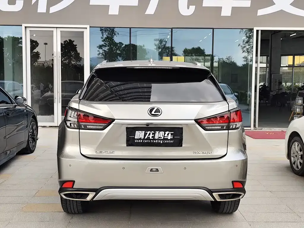 Lexus RX 2022 из CN, фото 7