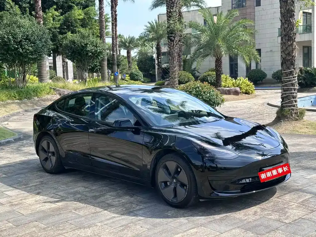 Tesla Model 3 — фото 3