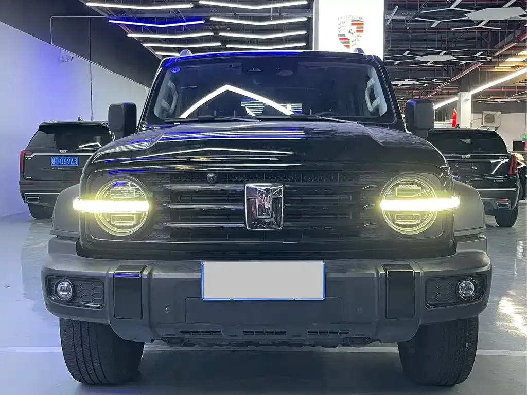 Tank 300 2023 из CN, фото 2