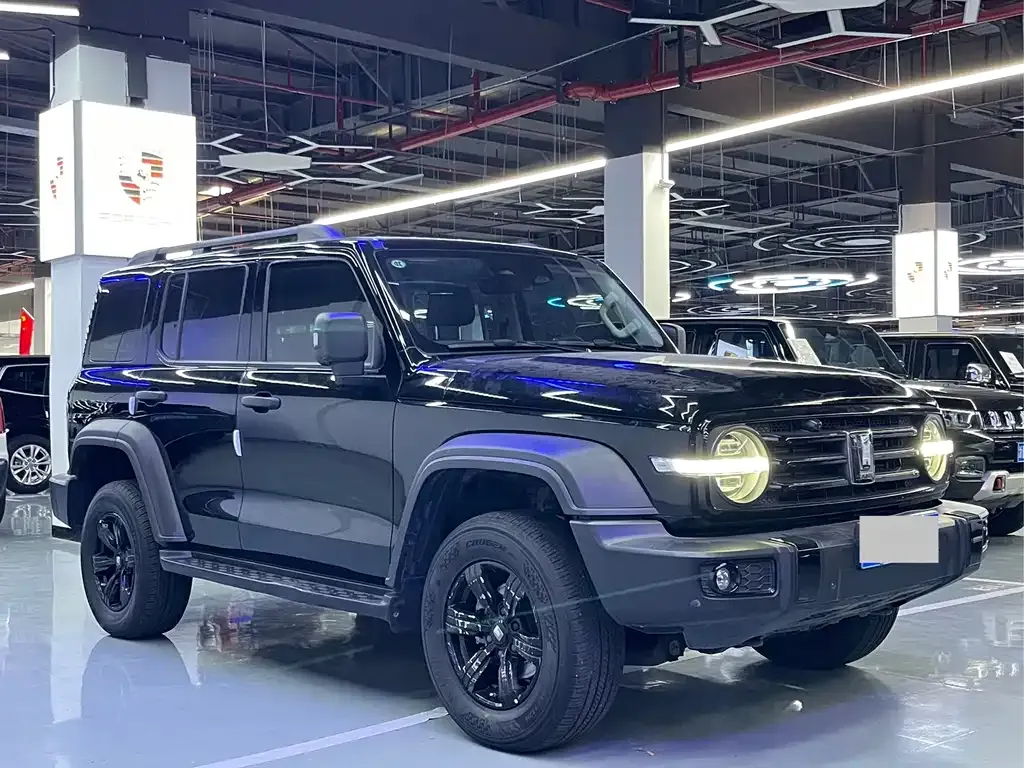 Tank 300 2023 из CN, фото 3