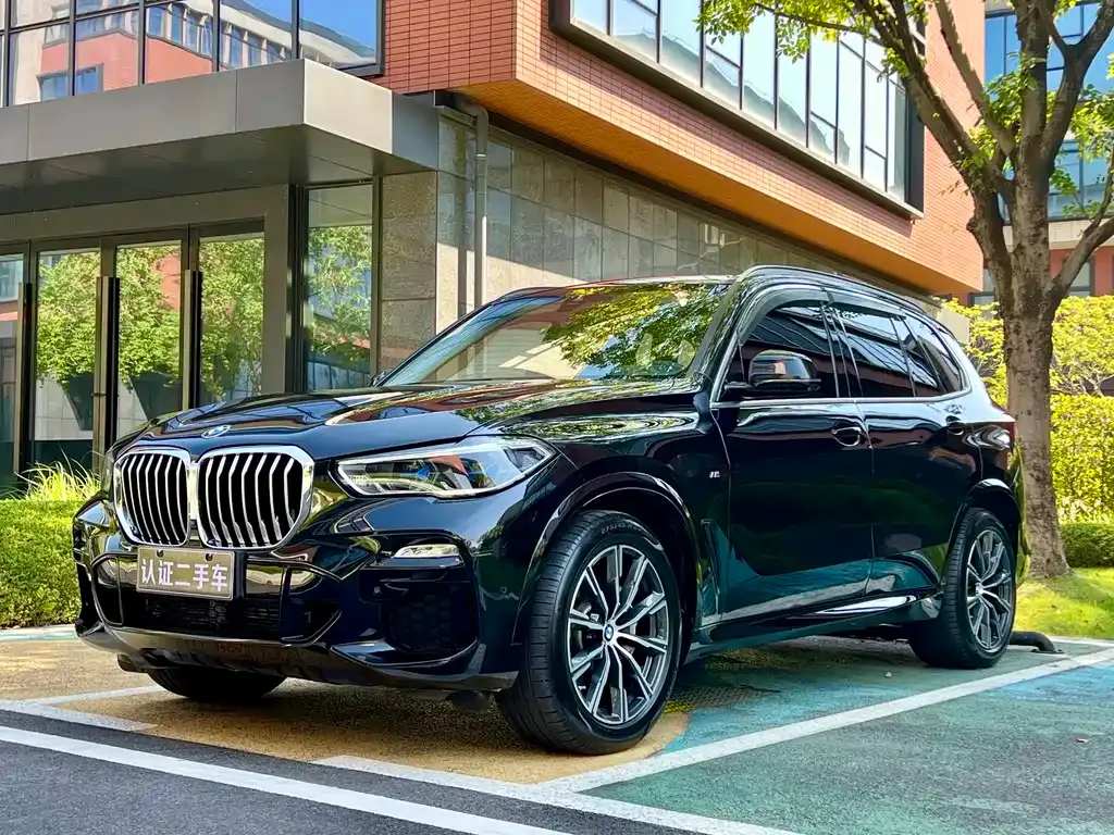 BMW X5 (Import) 2021 из CN, фото 1