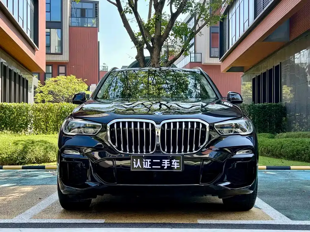 BMW X5 (Import) 2021 из CN, фото 2