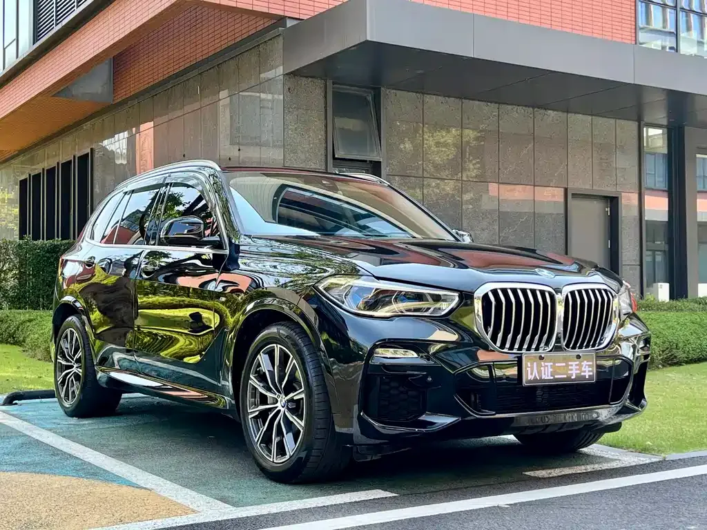 BMW X5 (Import) 2021 из CN, фото 3