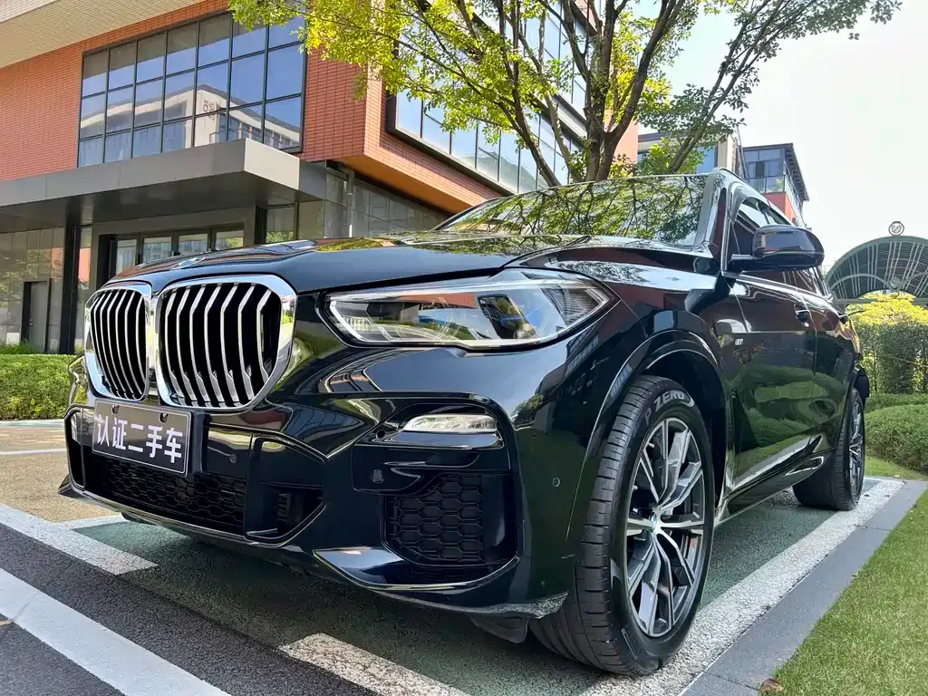 BMW X5 (Import) 2021 из CN, фото 4
