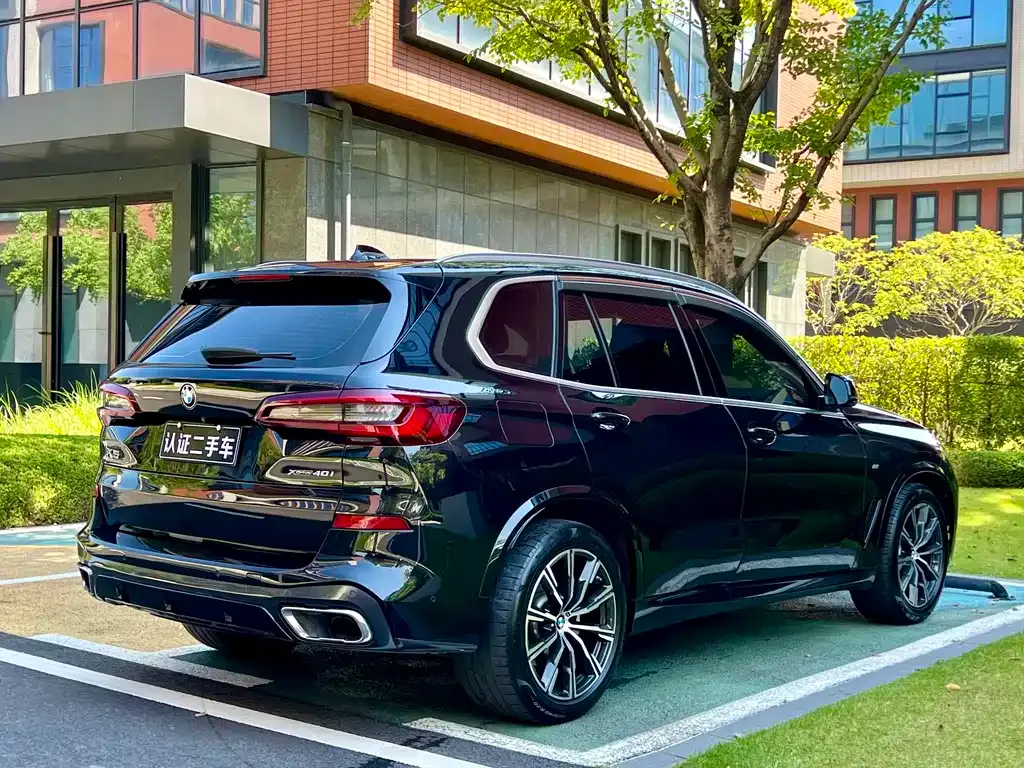 BMW X5 (Import) 2021 из CN, фото 6
