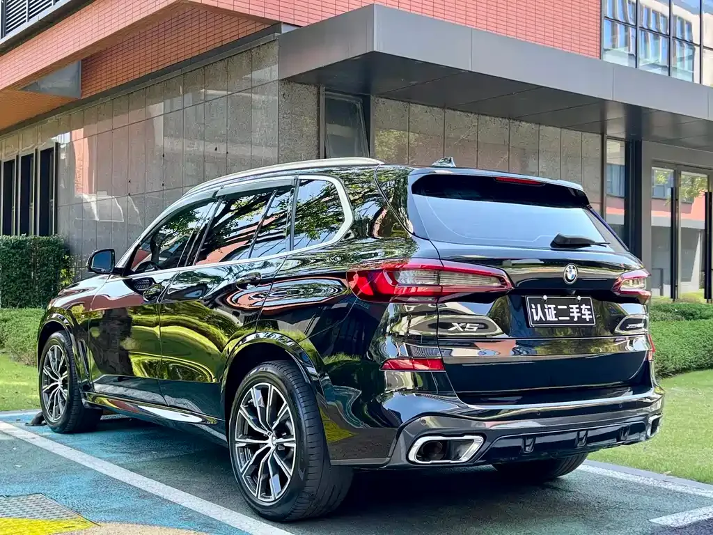 BMW X5 (Import) 2021 из CN, фото 7