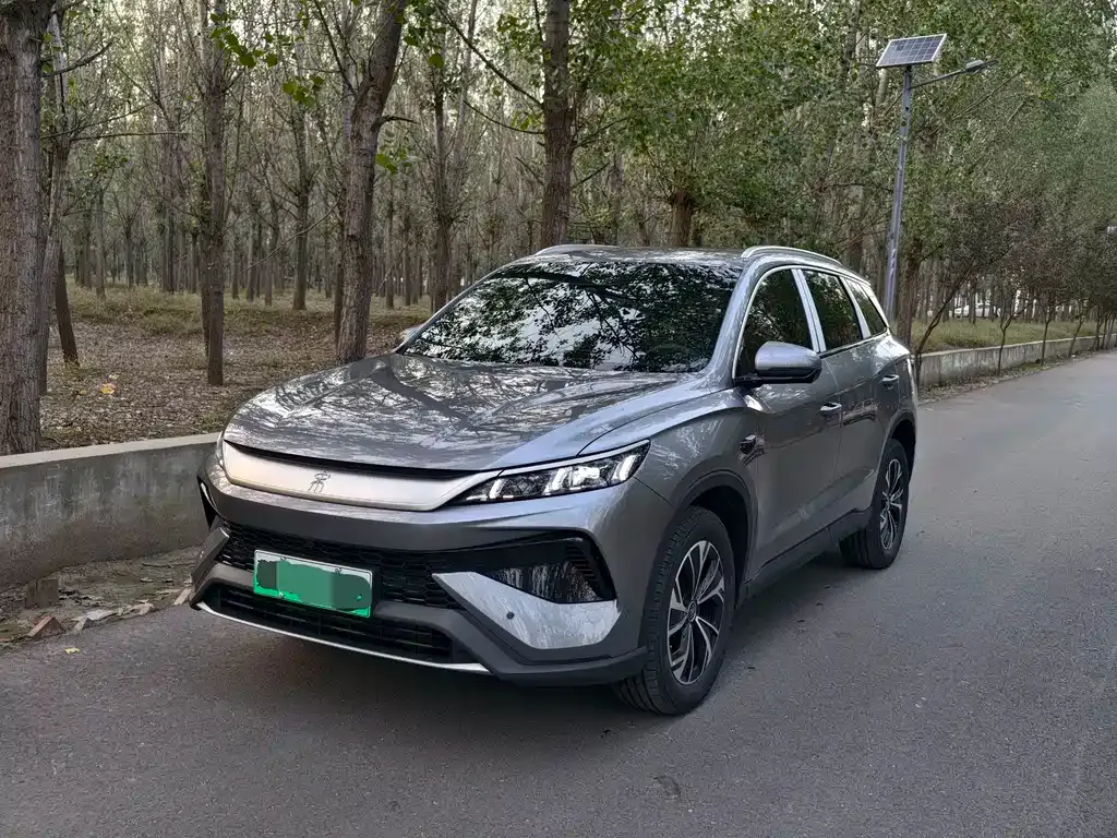 BYD Pro New Energy 2025 из CN, фото 1