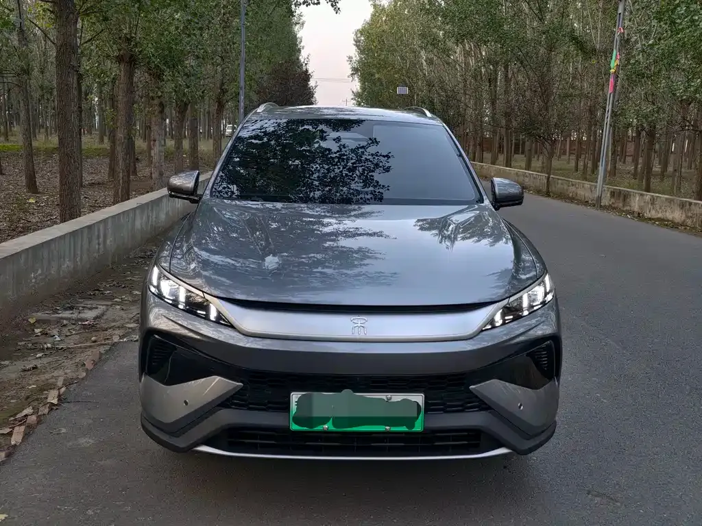 BYD Pro New Energy 2025 из CN, фото 2
